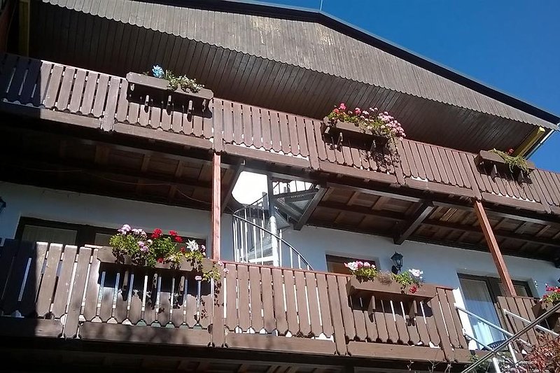Haus